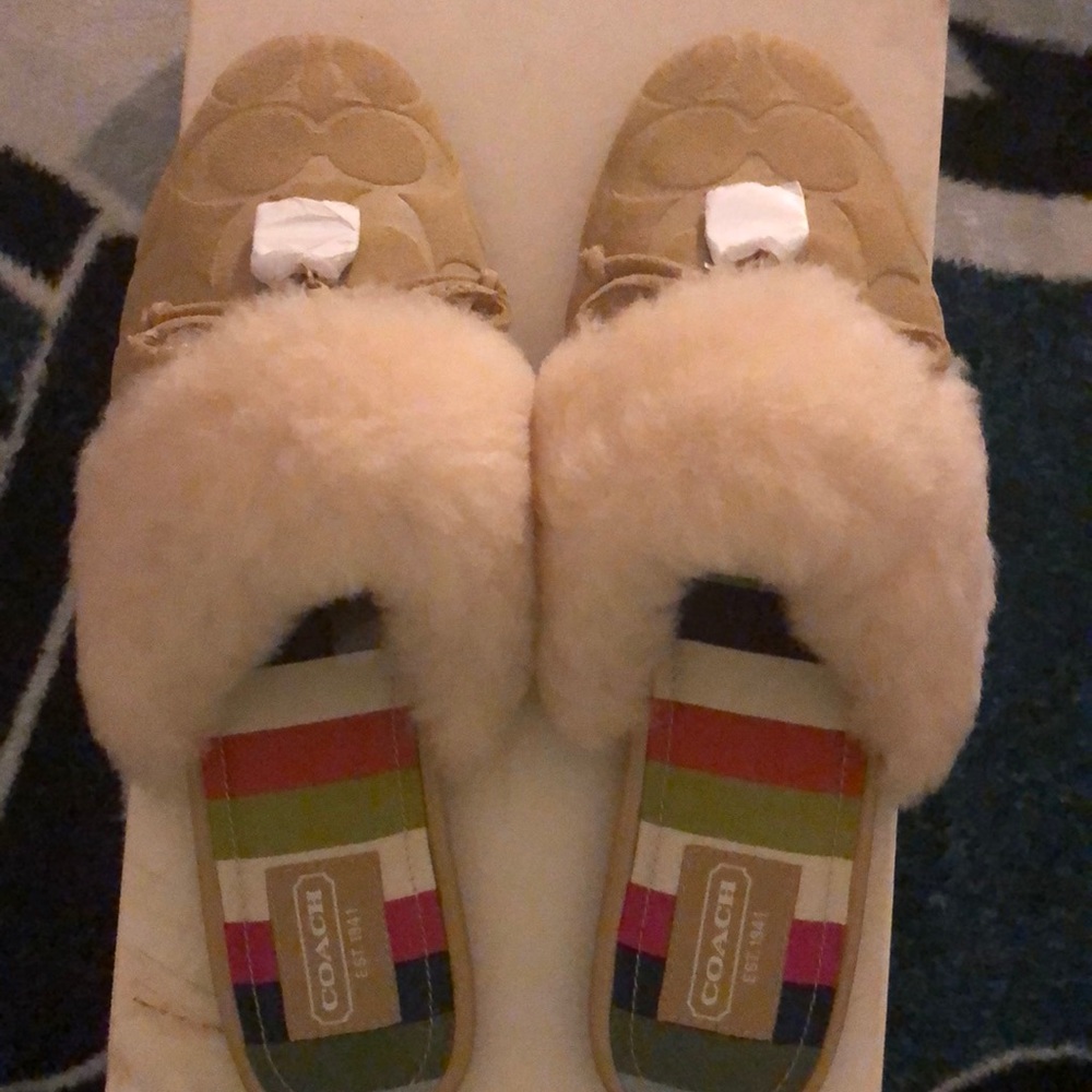 Coach Slippers